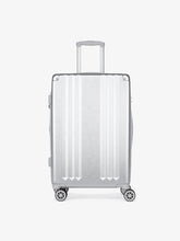 Ambeur Medium Luggage in Silver