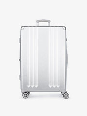 Ambeur 2-Piece Luggage Set in Silver