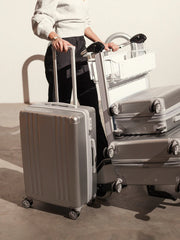 Ambeur Medium Luggage in Silver
